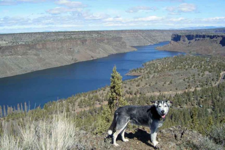 Cysco on the Edge at The Cove Palisades